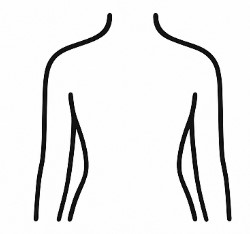 Dibujo simple de un torso humano