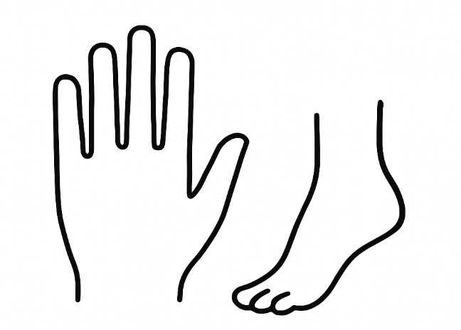 Dibujo de una mano y un pie.